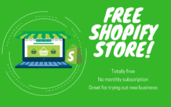 I Will Provide You A Free Shopify Store - No Monthly Charges