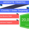 I Will Drive Unlimited Keyword Targeted Google Organic Traffic