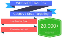 I Will Drive Unlimited Keyword Targeted Google Organic Traffic