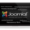 I Will Migrate Upgrade And Customize Joomla Website