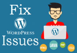 I Will Customize And Fix Wordpress Issues For You