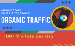 I Will Send Search Console Trackable Organic Traffic