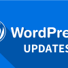 WordpressUpdates