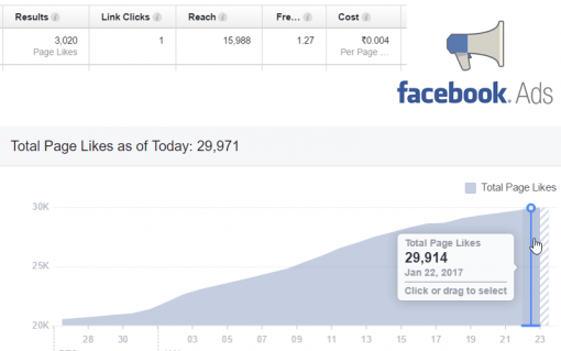Setup Facebook ad campaign for cheap Page Likes